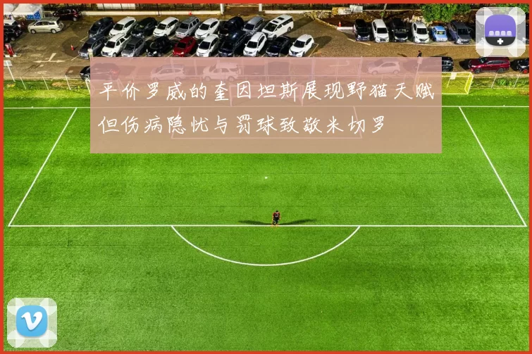平价罗威的奎因坦斯展现野猫天赋但伤病隐忧与罚球致敬米切罗