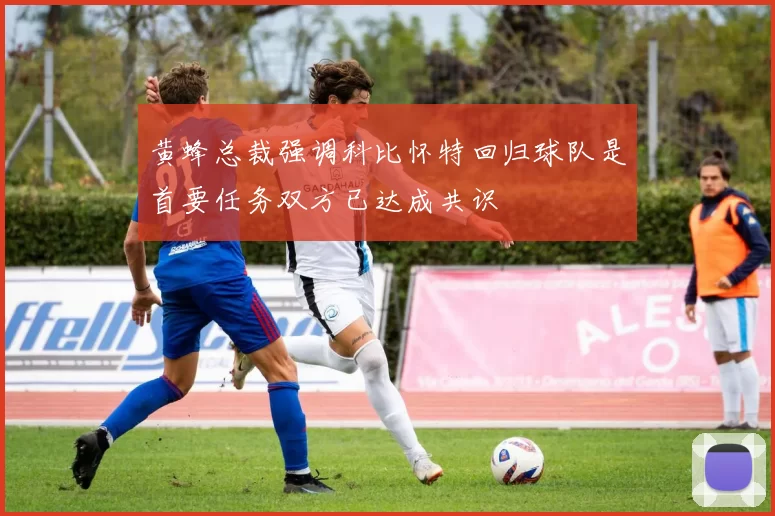 黄蜂总裁强调科比怀特回归球队是首要任务双方已达成共识